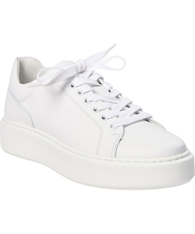 Sneaker - White Calf 83 - Billi Bi