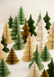 Honeycomb Tree Spruce - Ming - Bungalow